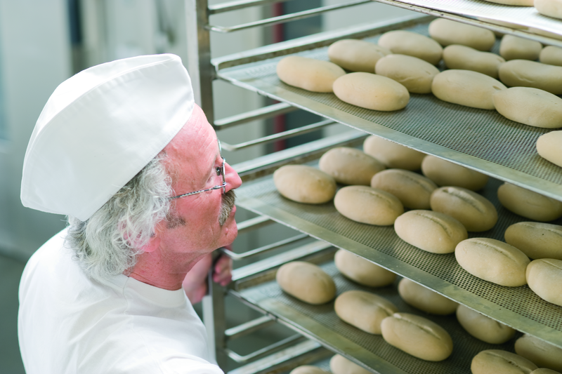 Bäckermeister schiebt einen Stikken mit Brötchenteiglingen