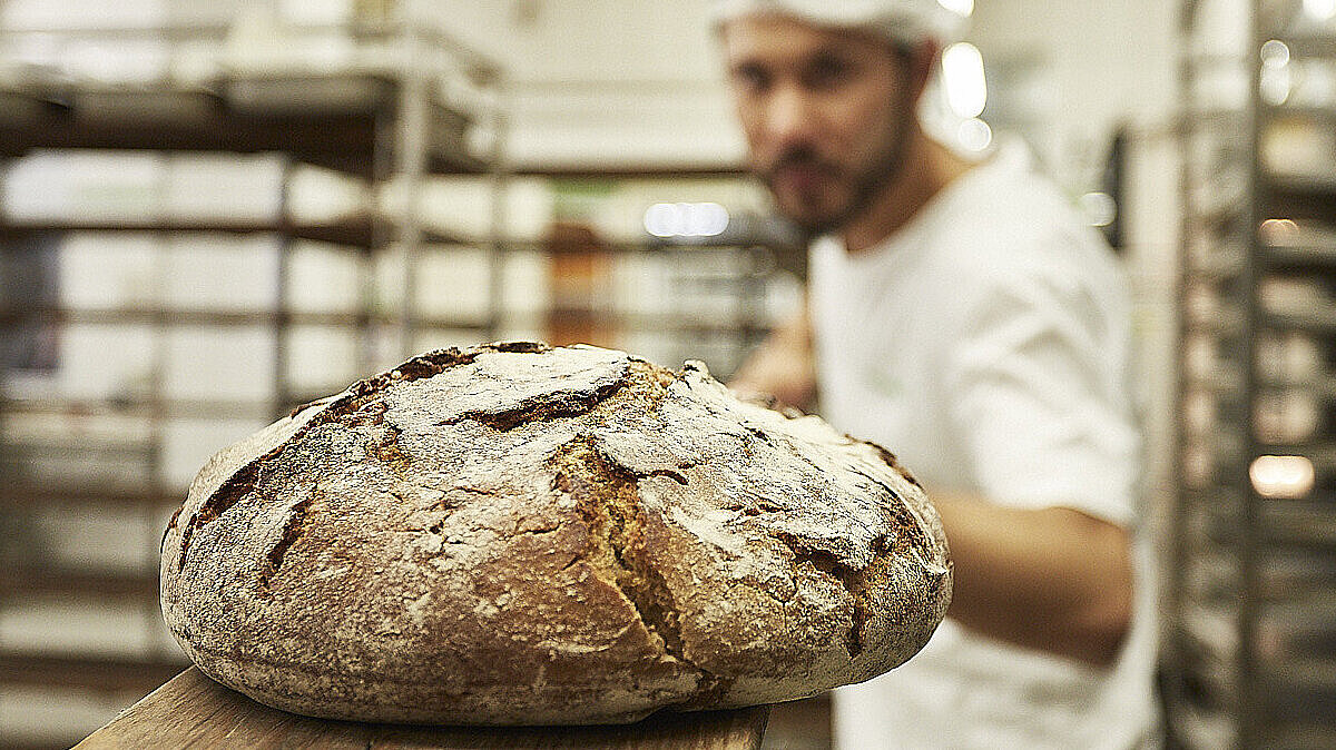 Brot wird in den Ofen geschoben
