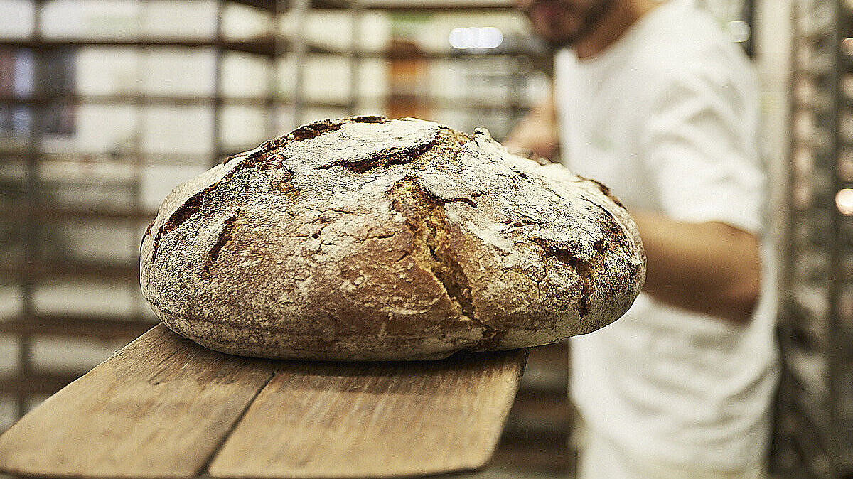 Brot wird in den Ofen geschoben