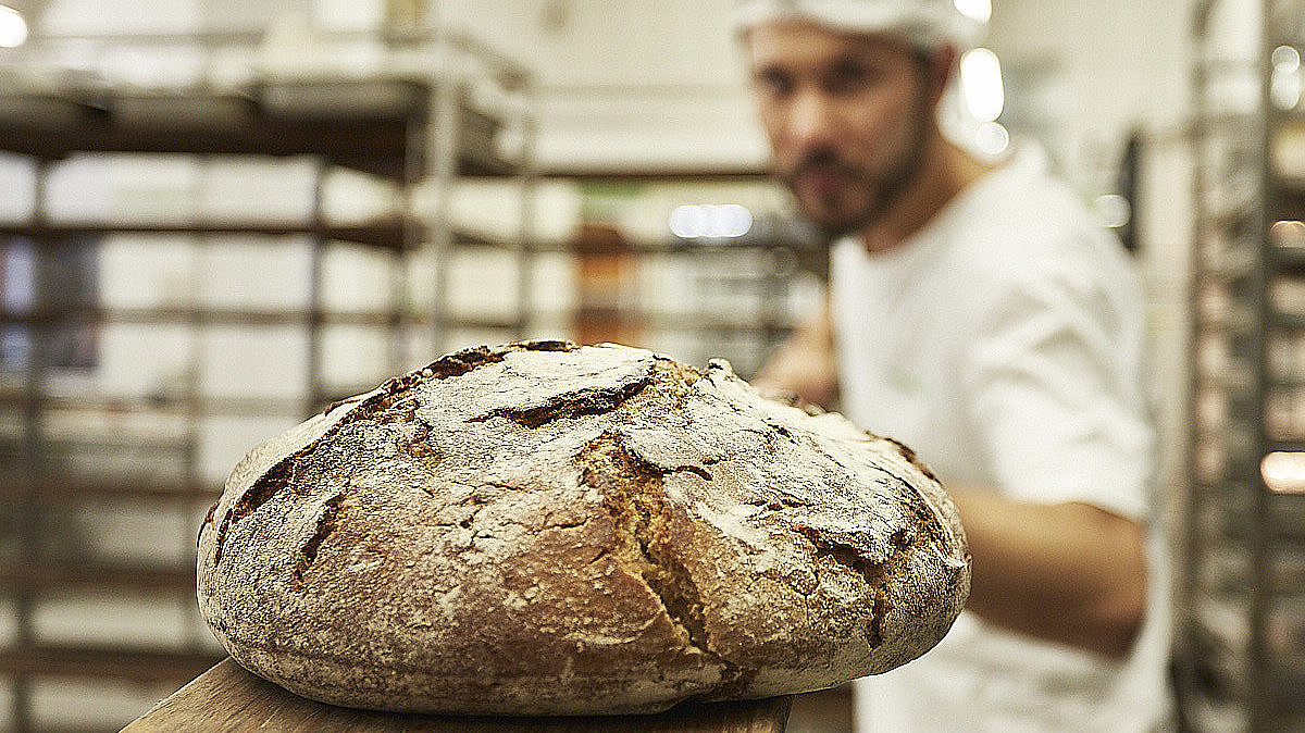 Brot wird in den Ofen geschoben
