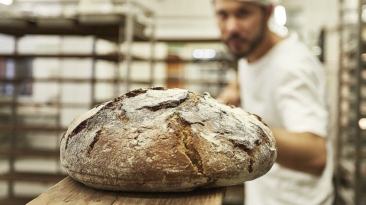 Brot wird in den Ofen geschoben