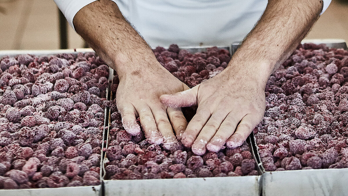 Bäcker bereitet Kuchen vor