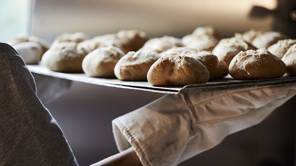 Ein Backblech mit frischen Brötchen wird aus dem Ofen geholt