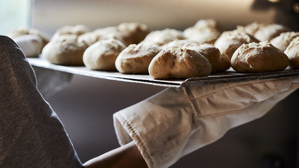 Ein Backblech mit frischen Brötchen wird aus dem Ofen geholt