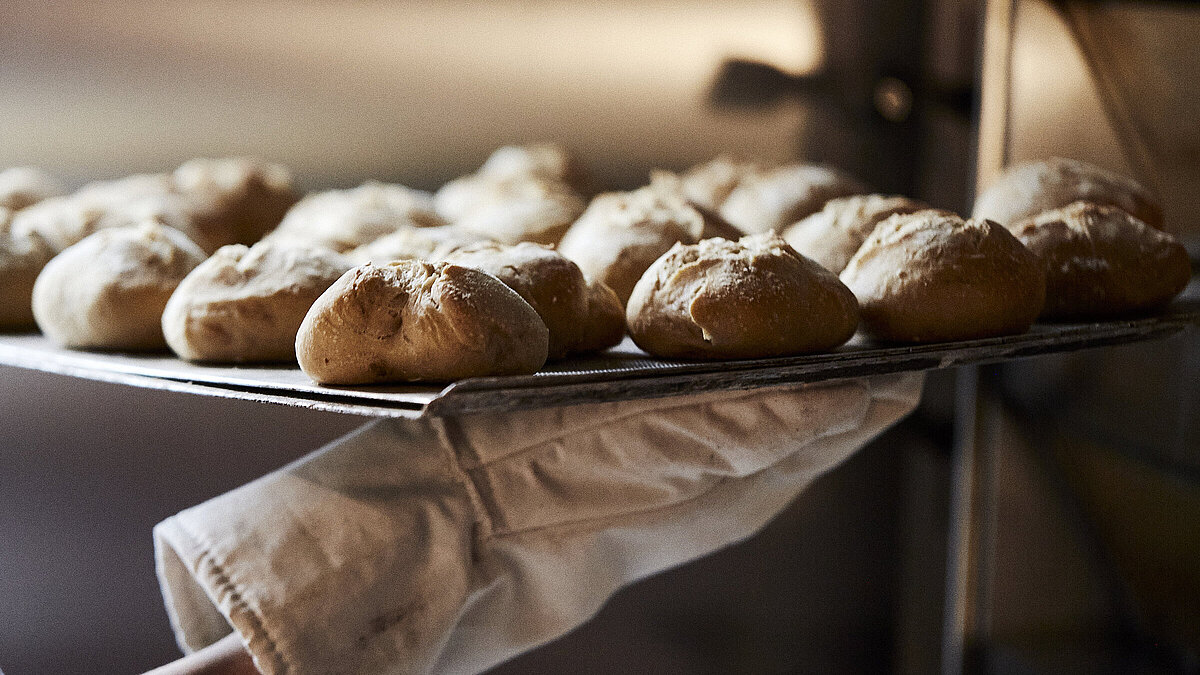 Ein Backblech mit frischen Brötchen wird aus dem Ofen geholt