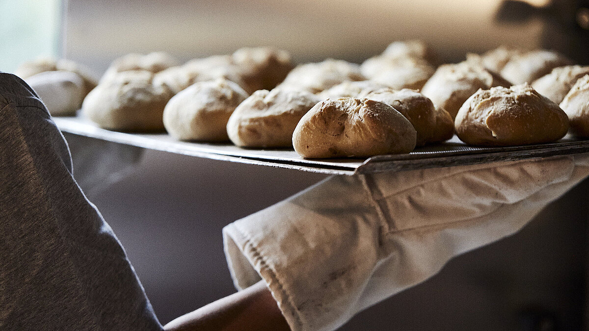 Ein Backblech mit frischen Brötchen wird aus dem Ofen geholt