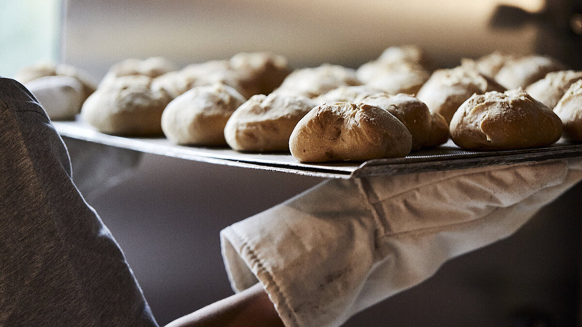 Ein Backblech mit frischen Brötchen wird aus dem Ofen geholt