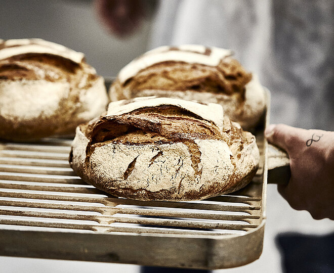 Drei Brote auf einem Backblech, das vermutlich in einen Ofen geschoben wird.
